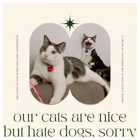 Chez Ramses Et Richelieu Bed & Breakfast Pau