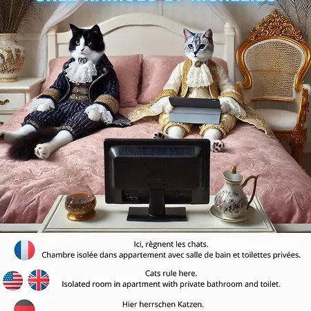 Chez Ramses Et Richelieu * Pau